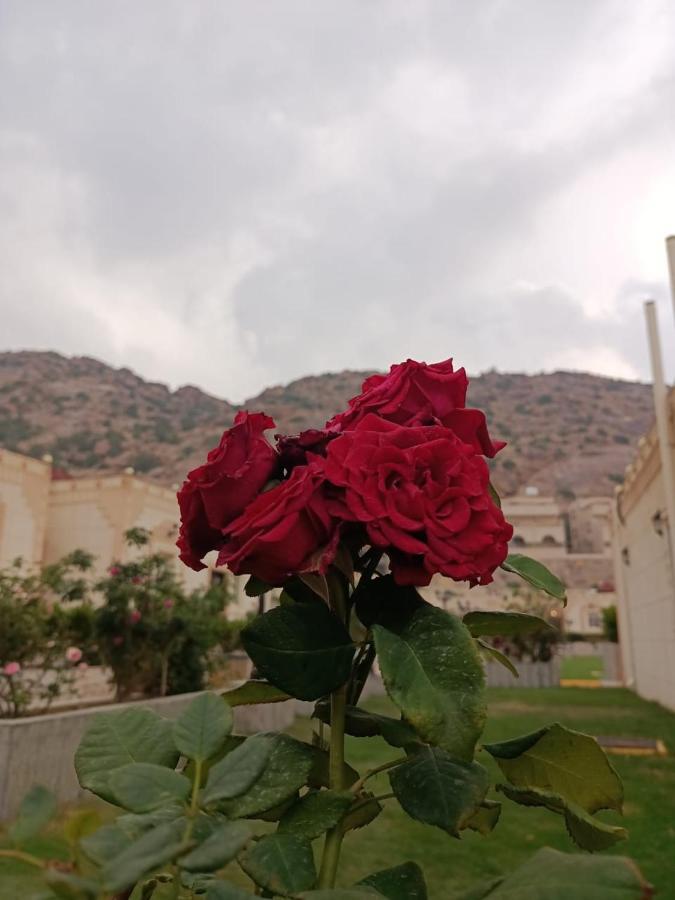 Fiori Resort Ta'if Dış mekan fotoğraf